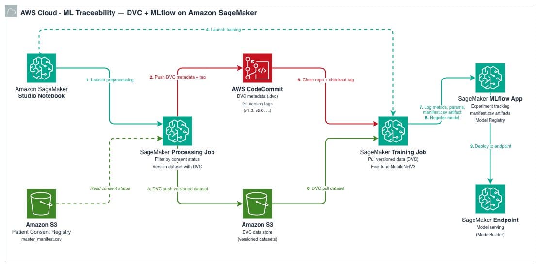 DVC lineage architecture
